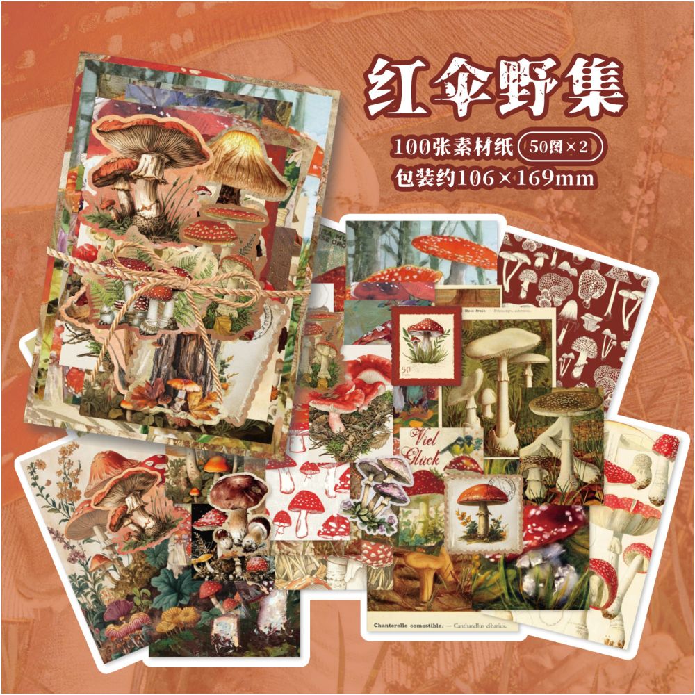 Paper Nostalgic Series Paper Stickers 100psc 12 variants