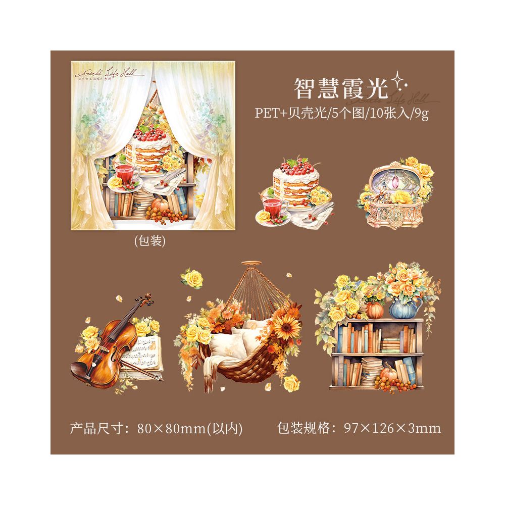 Girl's Lifestyle Series PET Stickers 10psc 6 Designs