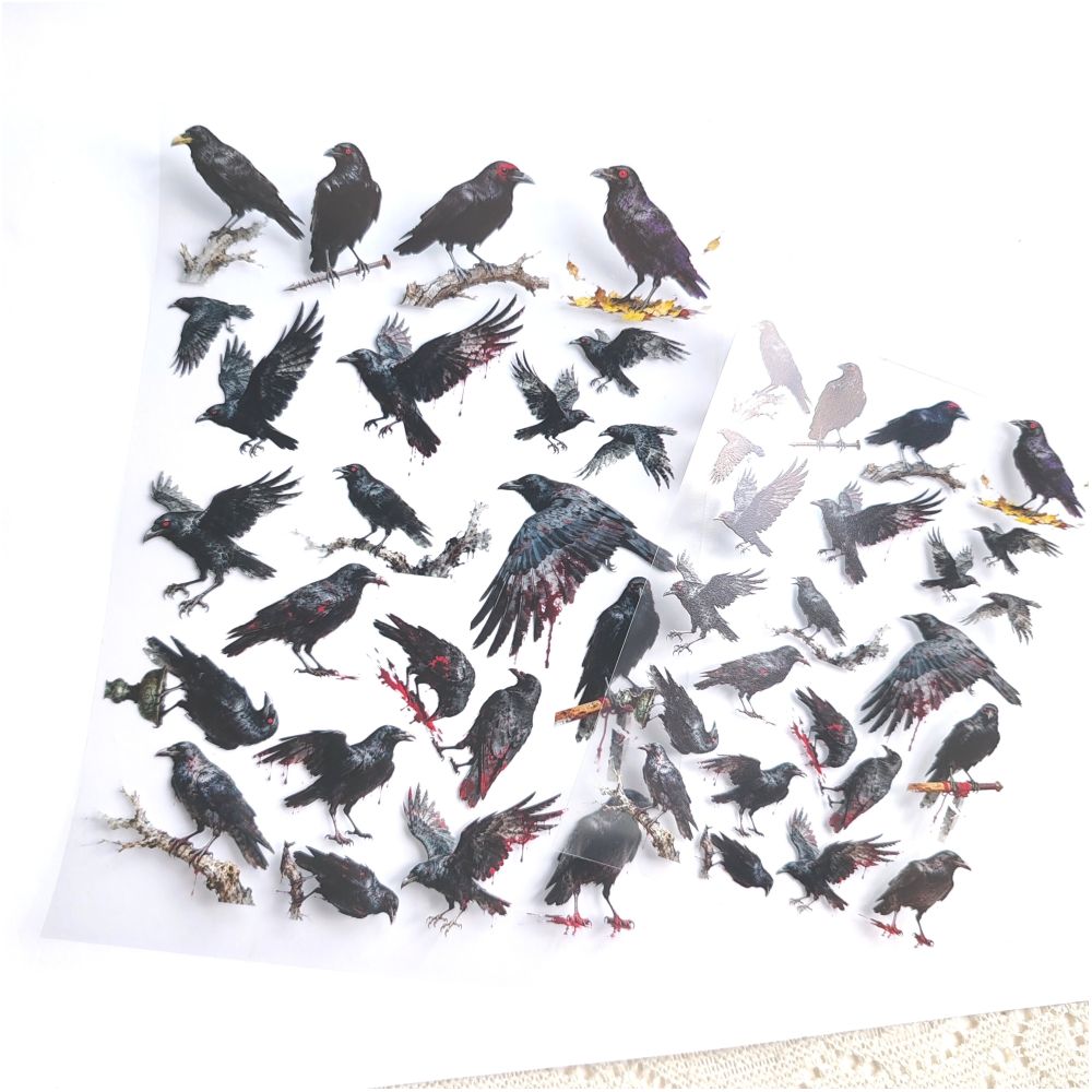 Dark crow PET stickers A5 image 0