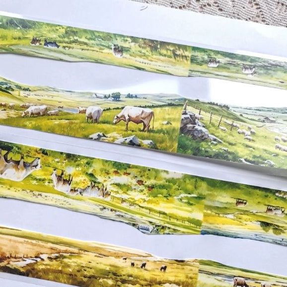Large Ranch landscape grassland PET Tape 3 Styles