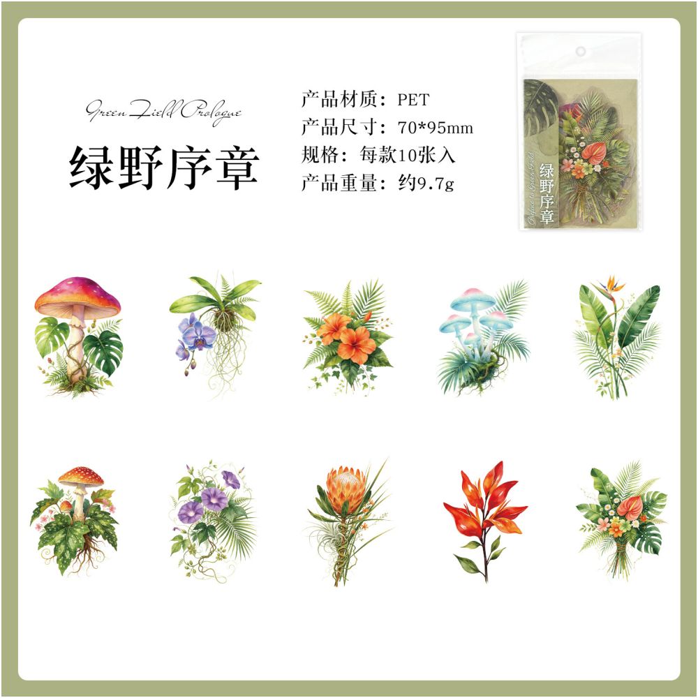 Flower Chronicles Series PET Stickers 10psc 6 Designs