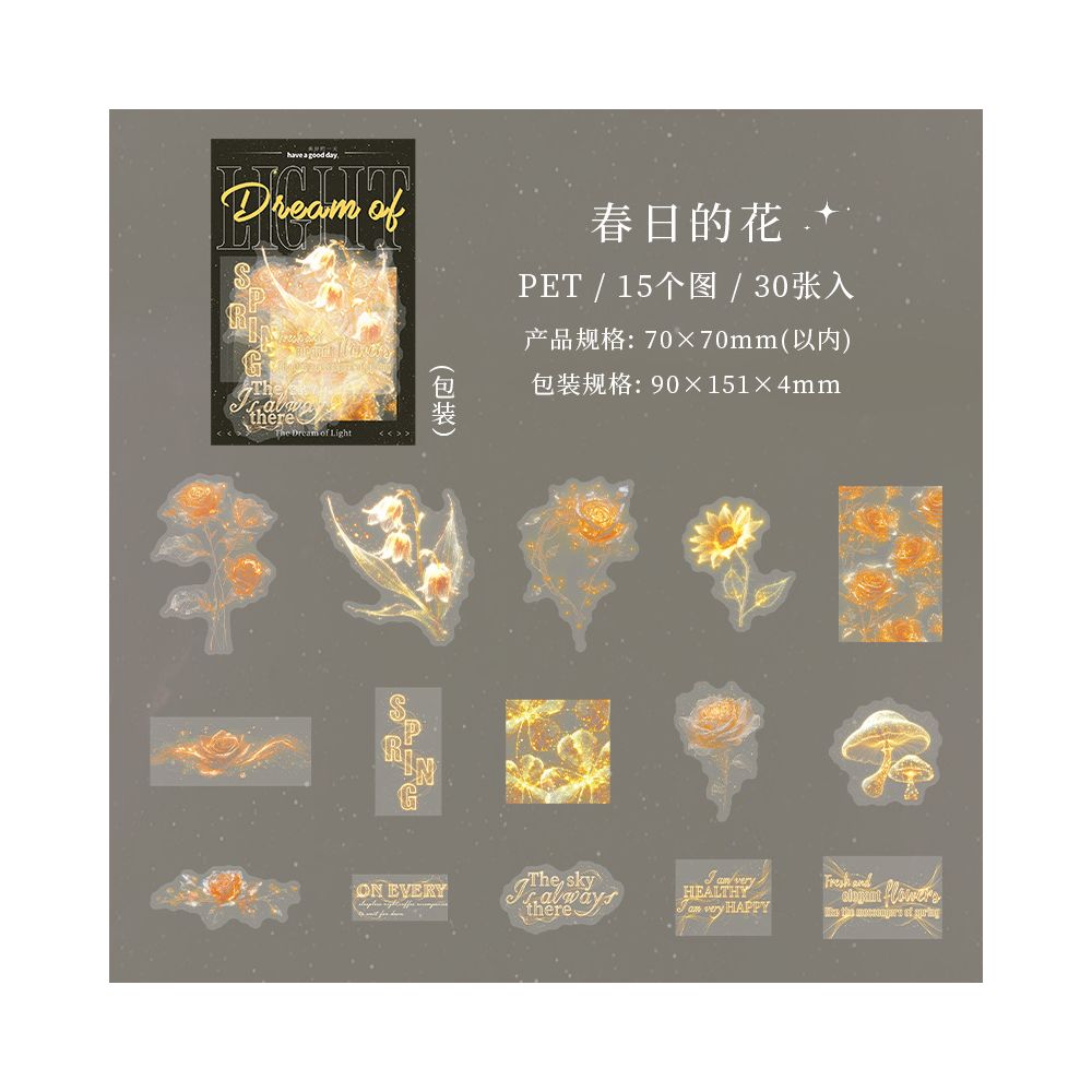 Dream of Light Series PET Stickers 4 Styles 30 Pcs