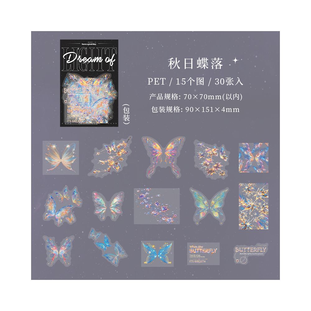 Dream of Light Series PET Stickers 4 Styles 30 Pcs