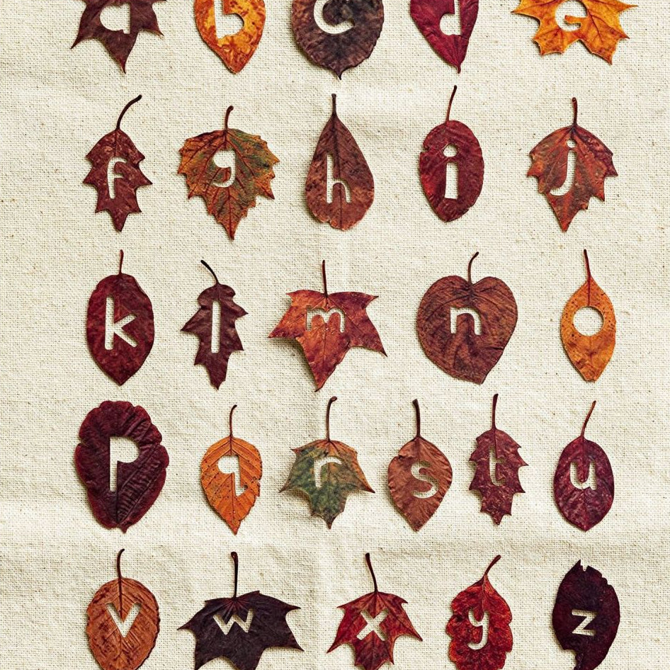 Nature English Forest Alphabet Series Paper Stickers 26pcs 6 Variants image 1