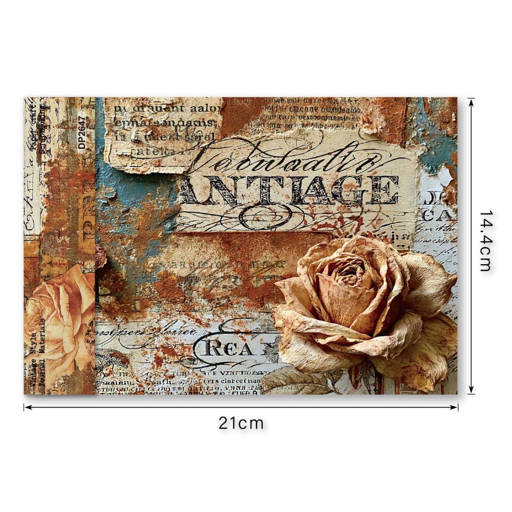 Vintage Patterned Brown Rose Series Material Background Paper A5 8pcs image 4