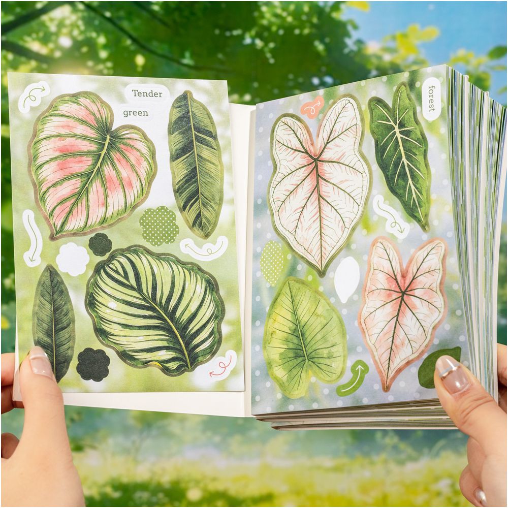 Leaf Narrative Series Material Paper Book 10cm x 15cm 20 Sheets 2 Variants image 0