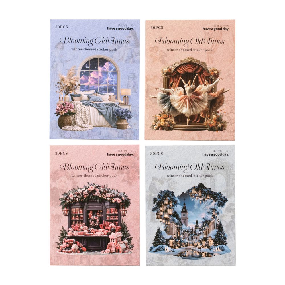 Winter Glamorous Theme PET Stickers 30psc 4 Designs image 4