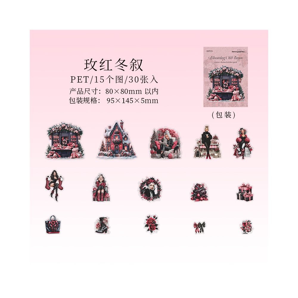 Winter Glamorous Theme PET Stickers 30psc 4 Designs