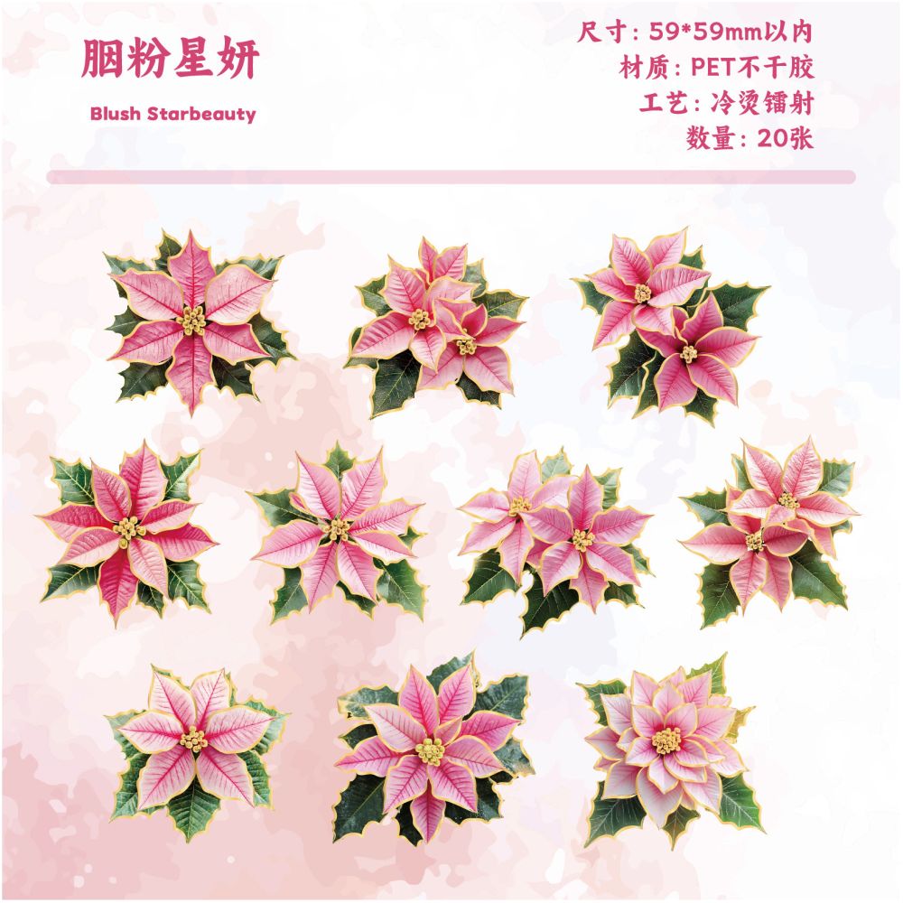Starry Floral Series PET Stickers 20psc 6 Designs