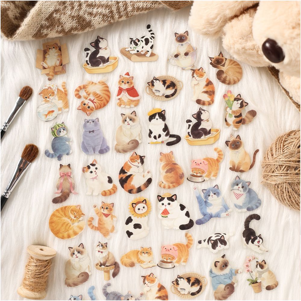 Fun Cat Series PET Stickers 30 Sheets 6 Designs image 1