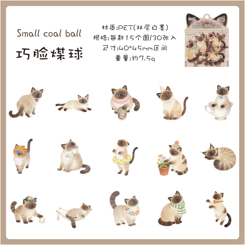 Fun Cat Series PET Stickers 30 Sheets 6 Designs