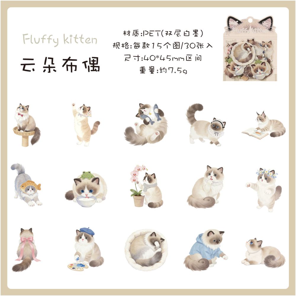 Fun Cat Series PET Stickers 30 Sheets 6 Designs