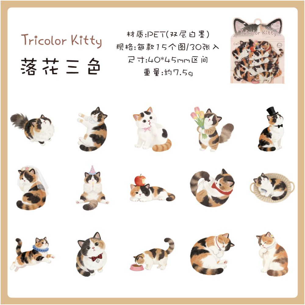 Fun Cat Series PET Stickers 30 Sheets 6 Designs