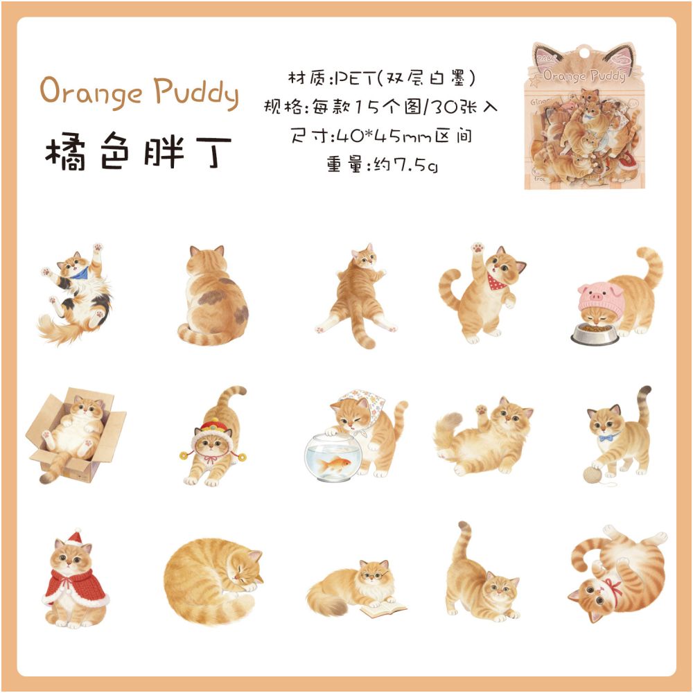 Fun Cat Series PET Stickers 30 Sheets 6 Designs