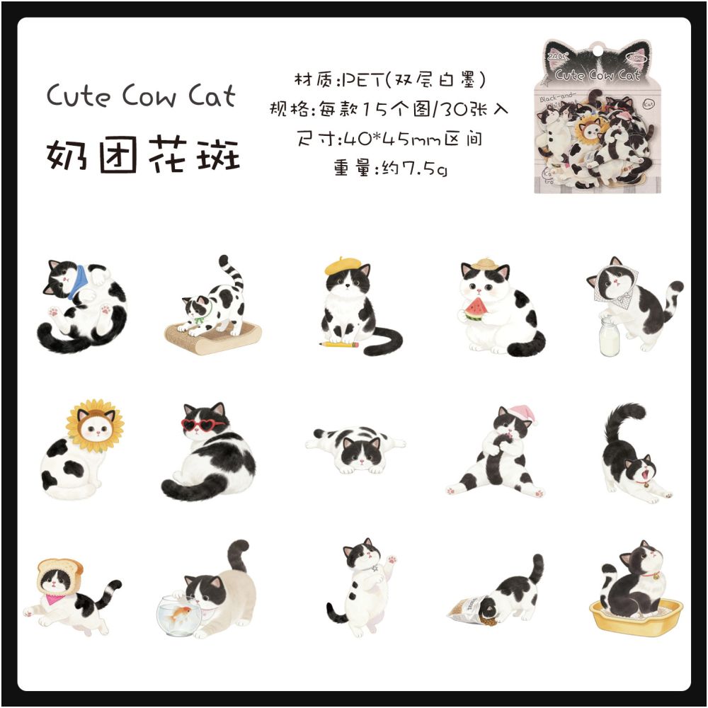 Fun Cat Series PET Stickers 30 Sheets 6 Designs