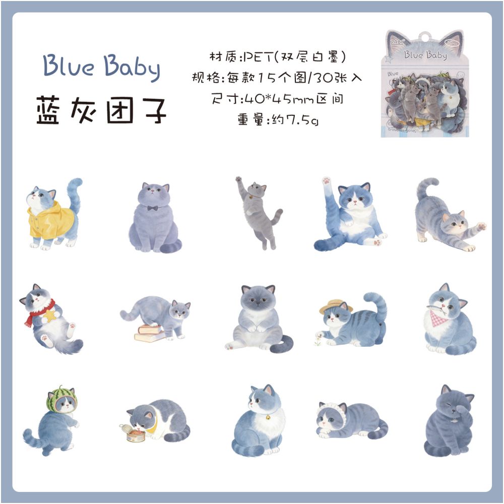 Fun Cat Series PET Stickers 30 Sheets 6 Designs