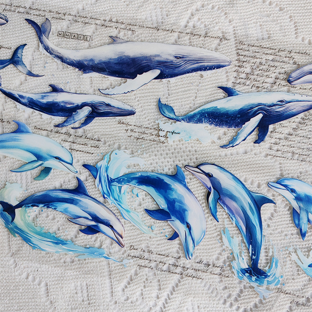 Light retro whale marine creature dark horror cruise PET tape image 0