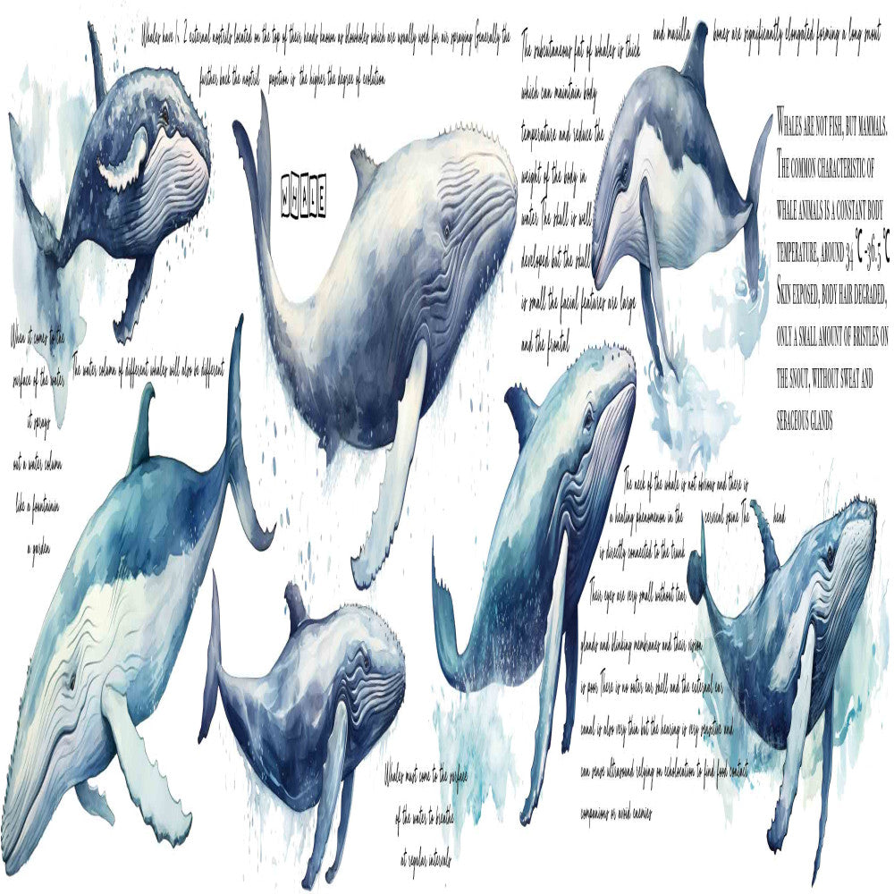Light retro whale marine creature dark horror cruise PET  tape