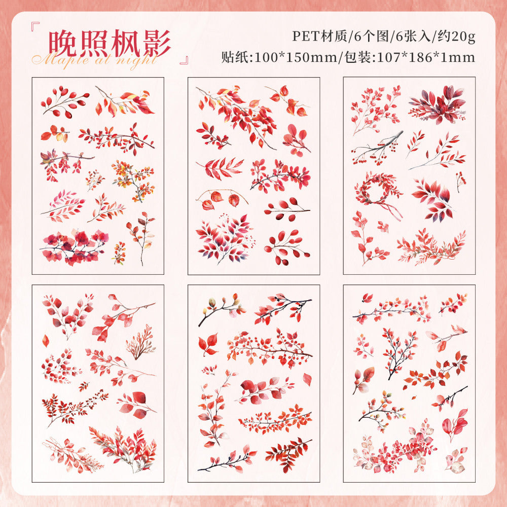 Mountain and field diary series  PET stickers  6 models 6 sheets