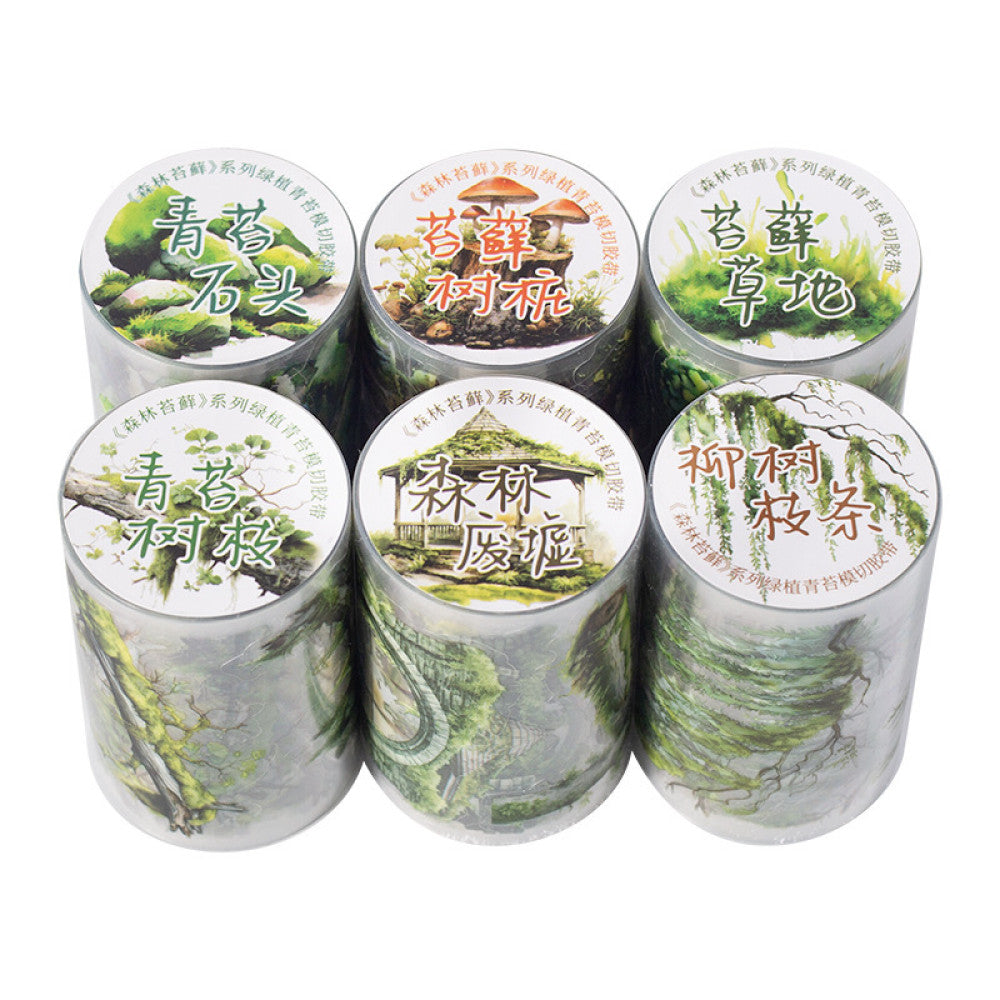 Forest moss series beautiful day PET tape 6 types 6 cm 2 m image 4