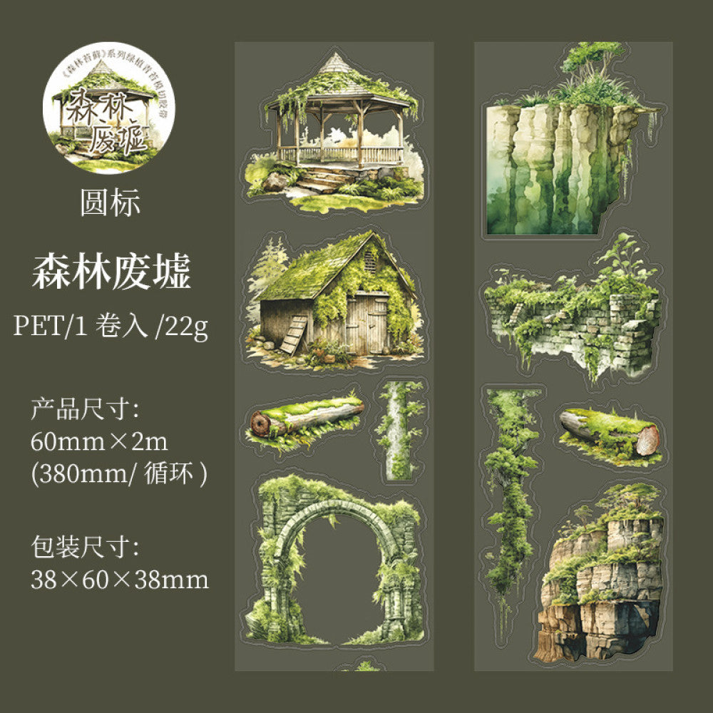 Forest moss series beautiful day PET tape 6 types 6 cm 2 m image 5