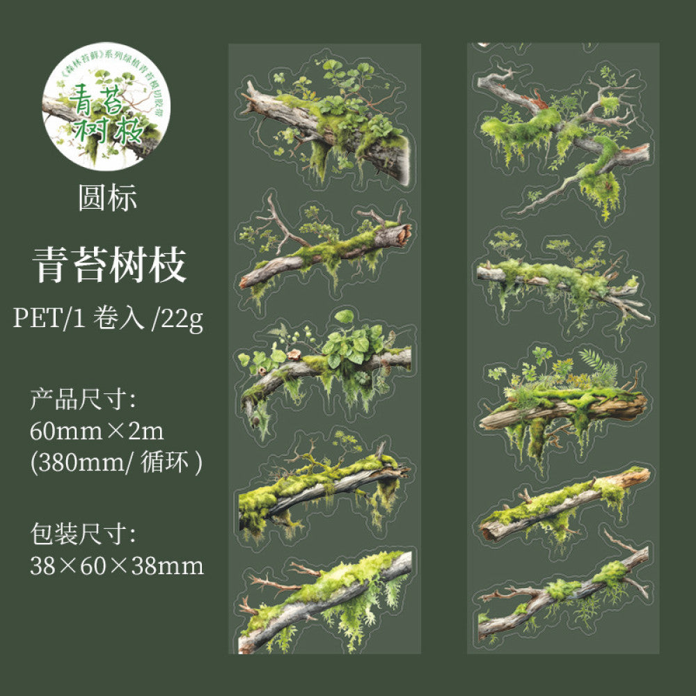 Forest moss series beautiful day PET tape 6 types 6 cm 2 m image 6