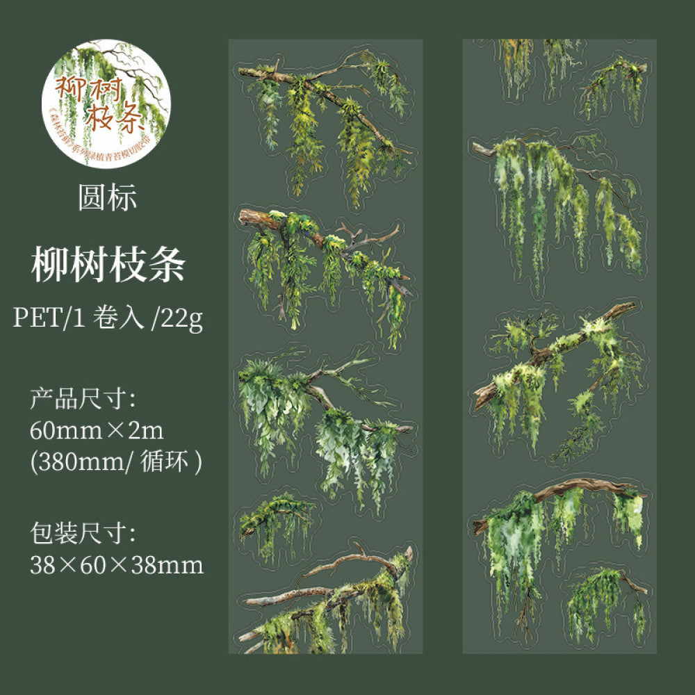 Forest moss series beautiful day PET tape 6 types 6 cm / 2 m