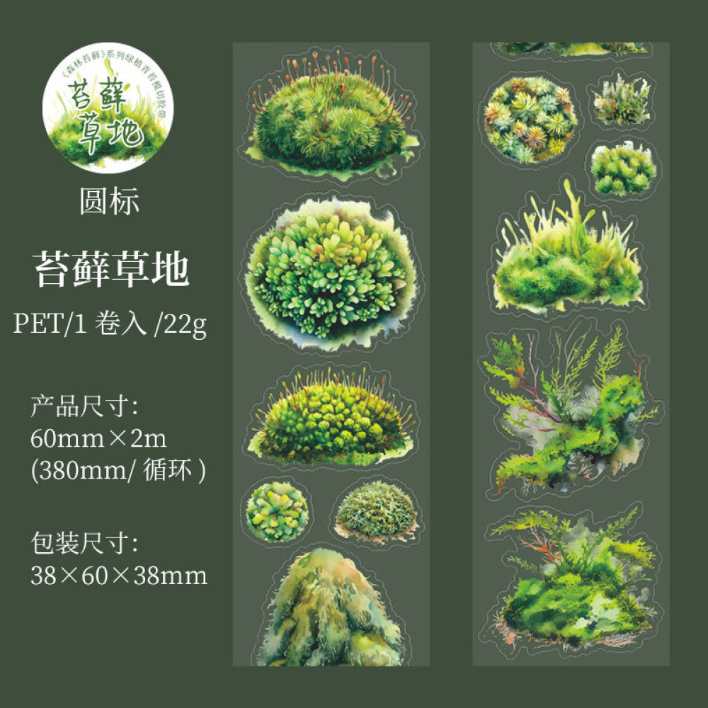 Forest moss series beautiful day PET tape 6 types 6 cm / 2 m