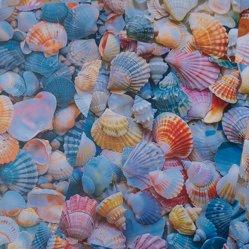 Ocean Shell Conch Background Paper 20 Sheets image 1