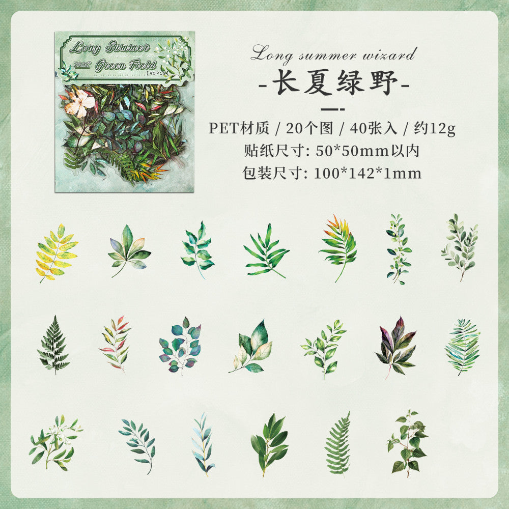 Dream series plants PET sticker pack 8 types 40 pcs image 7