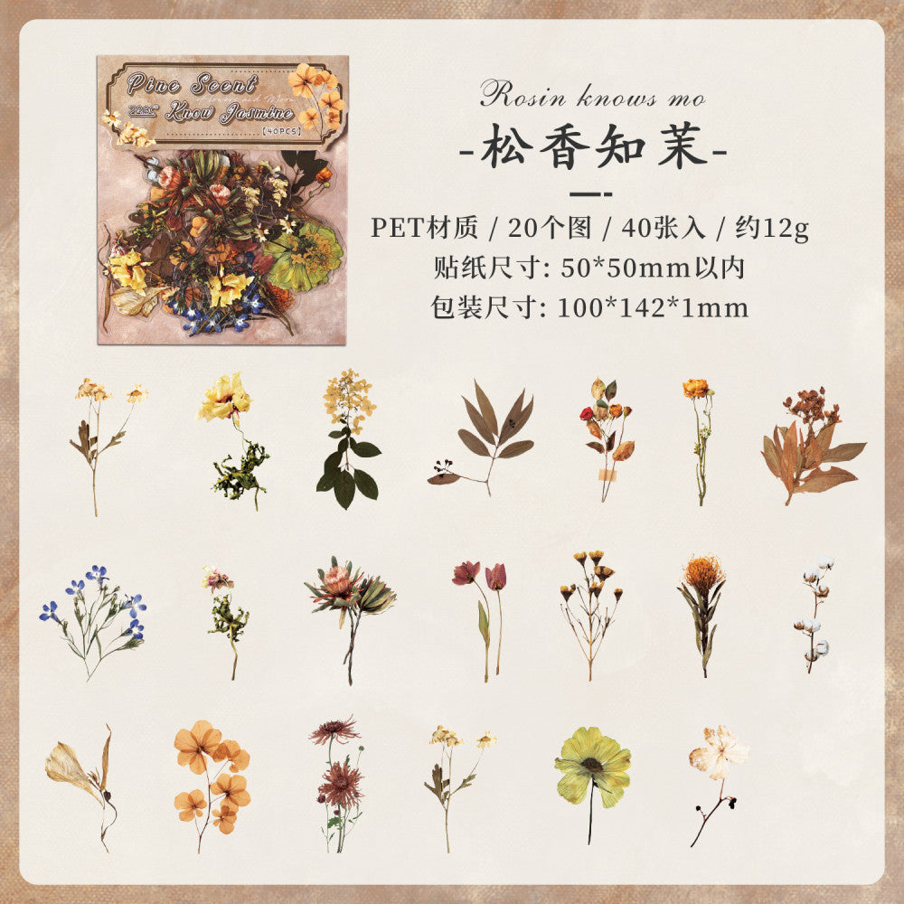Dream series plants PET sticker pack 8 types 40 pcs image 9