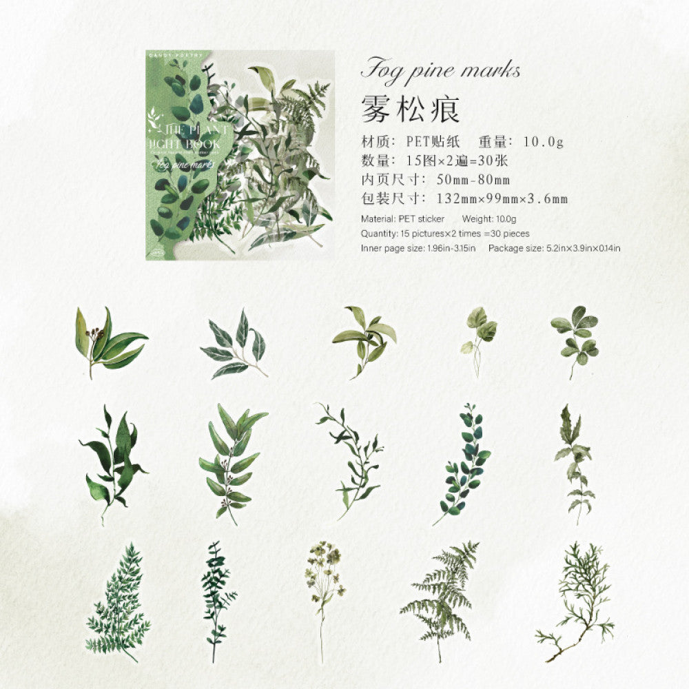 Plant Series PET stickers 4 types 30 pcs image 6
