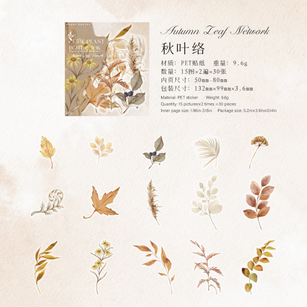 Plant Series PET stickers 4 types 30 pcs