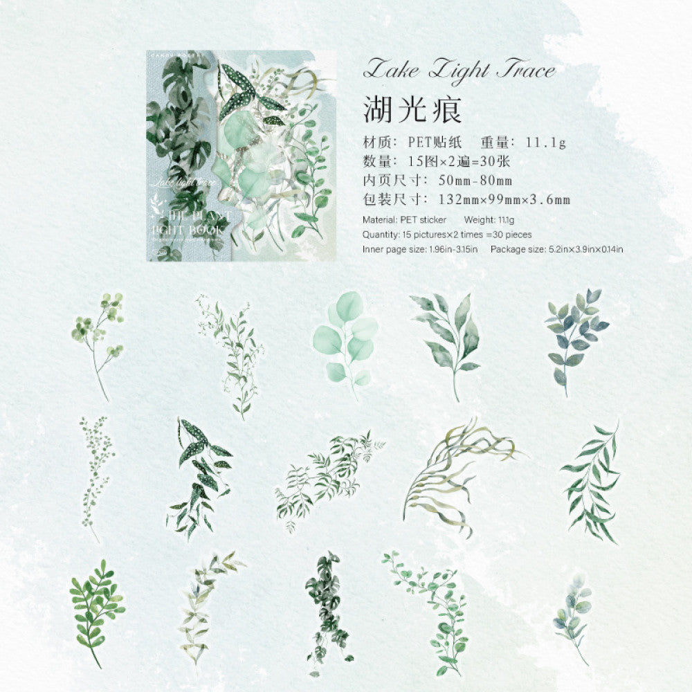 Plant Series PET stickers 4 types 30 pcs