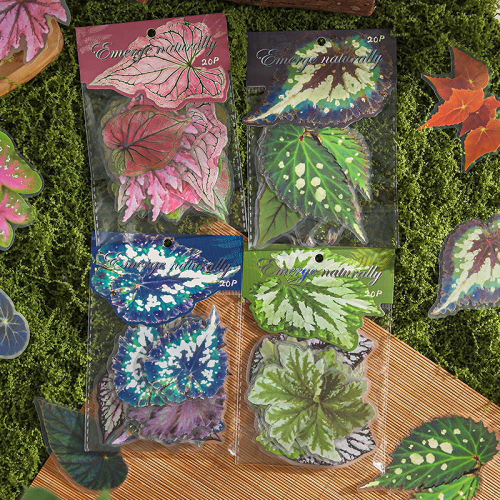 Natural and dyed series plant PET stickers 4 types 20 Pcs image 0