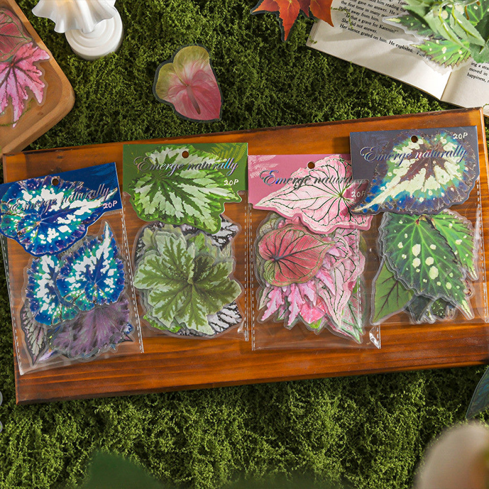 Natural and dyed series plant PET stickers 4 types 20 Pcs image 2