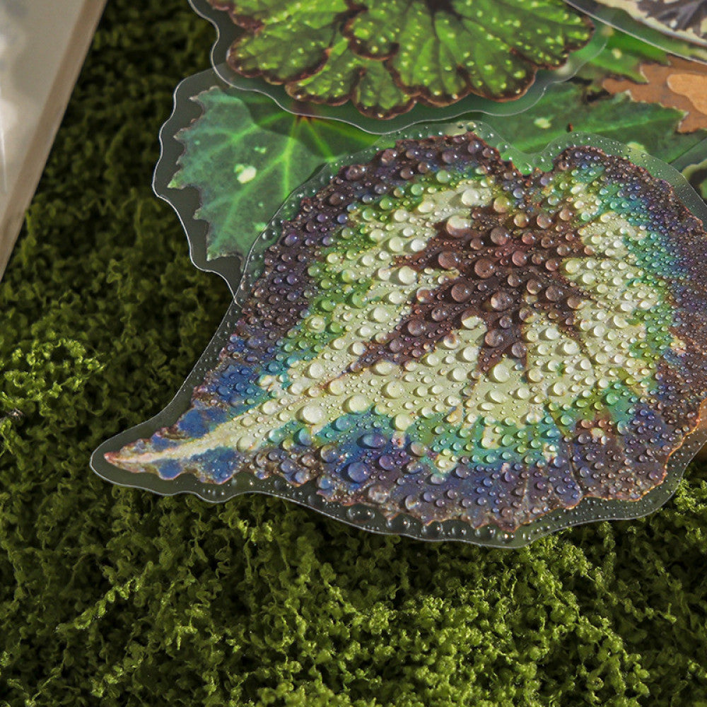 Natural and dyed series plant PET stickers 4 types 20 Pcs image 3