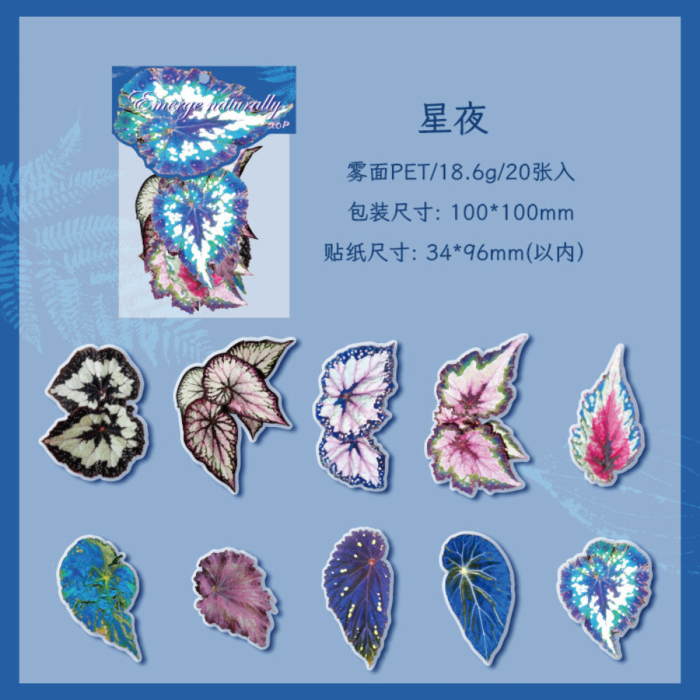Natural and dyed series plant PET stickers 4 types 20 Pcs image 6