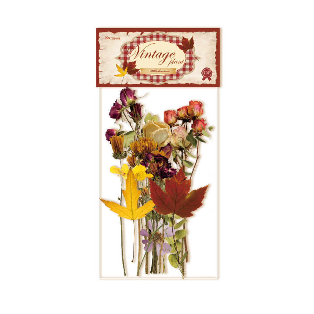 Plant series PET sticker pack 4 types 20 pcs image 4