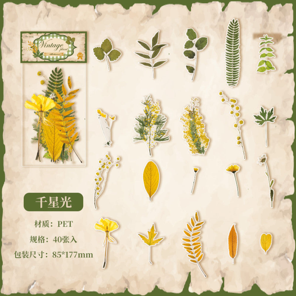 Plant series PET sticker pack 4 types 20 pcs