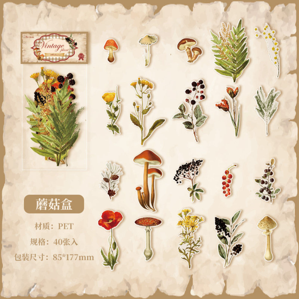 Plant series PET sticker pack 4 types 20 pcs image 8