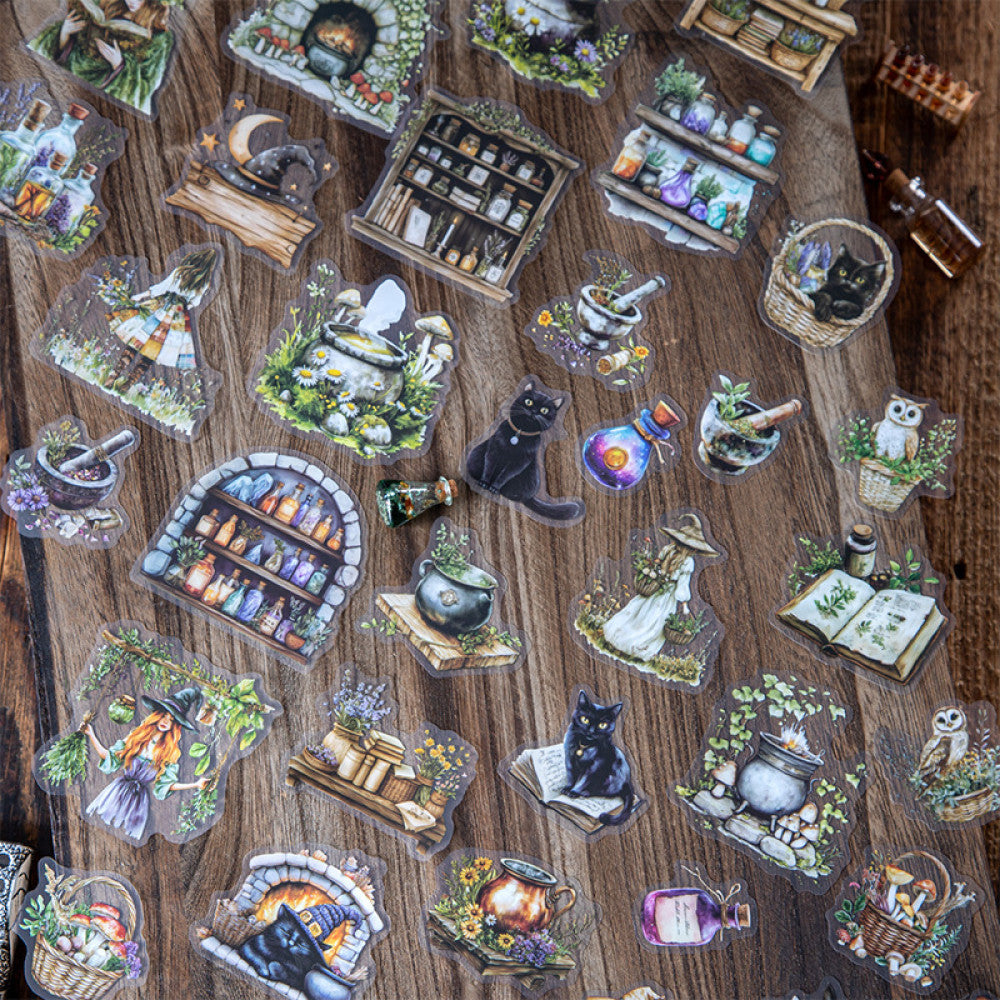 Magic Pharmacy Series Witch Items PET Stickers 6 Types 15 Pcs image 2