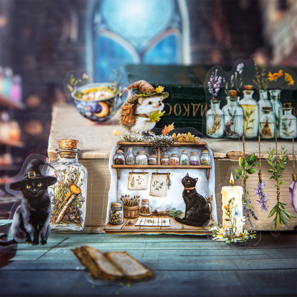 Magic Pharmacy Series Witch Items PET Stickers 6 Types 15 Pcs image 3