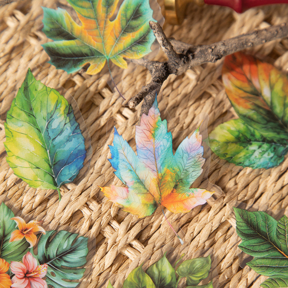 Leaf Wind Letter Series Plant Material PET Stickers 6 Types 15 Pcs image 2