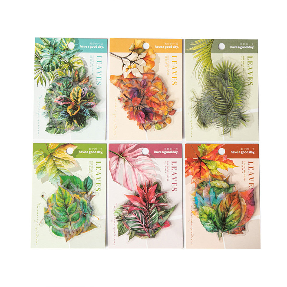 Leaf Wind Letter Series Plant Material PET Stickers 6 Types 15 Pcs image 5