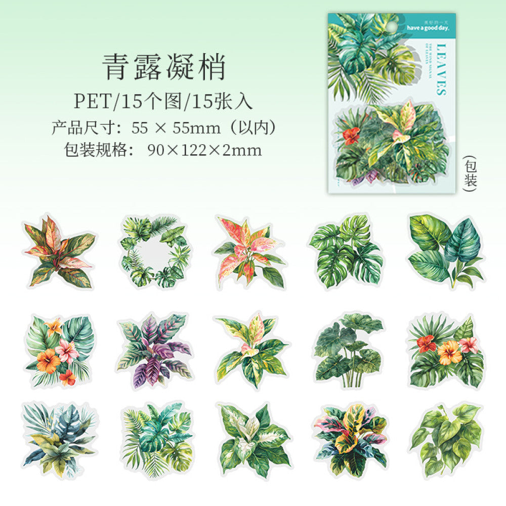 Leaf Wind Letter Series Plant Material PET Stickers 6 Types 15 Pcs
