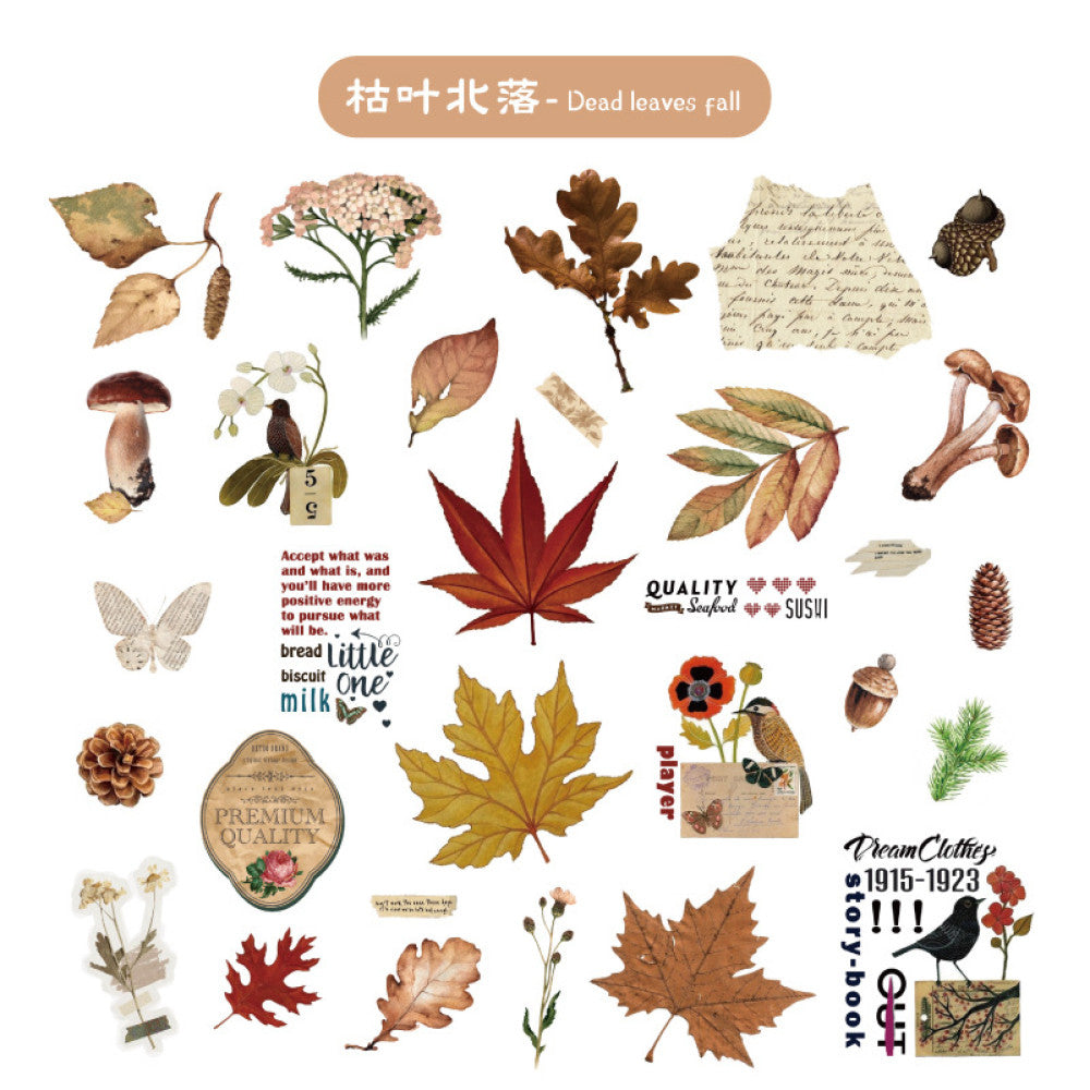 Flower plant combination series retro PET stickers 6 styles 30 pcs image 6