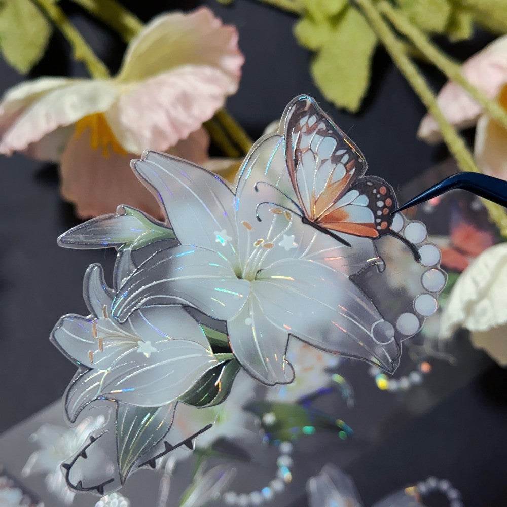 Lily translucent shell light PET tape 6 cm 2 m image 4