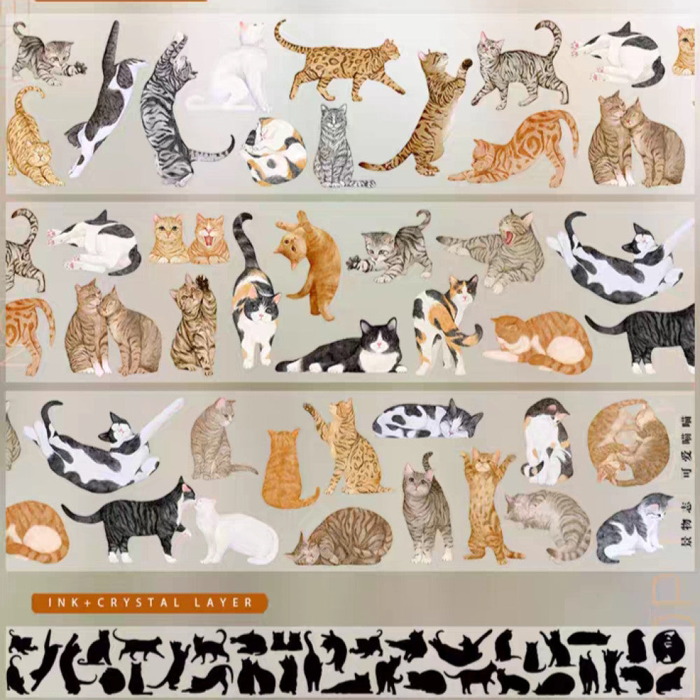 Small garden spring cute meow landscaping PET tape  4 Types