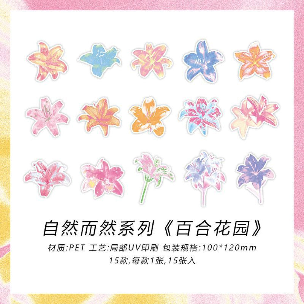 Natural Series PET Sticker Pack 4 Types 15 Pcs image 5